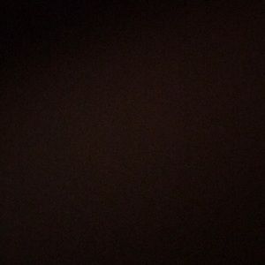 Meet your Posher, Carmen